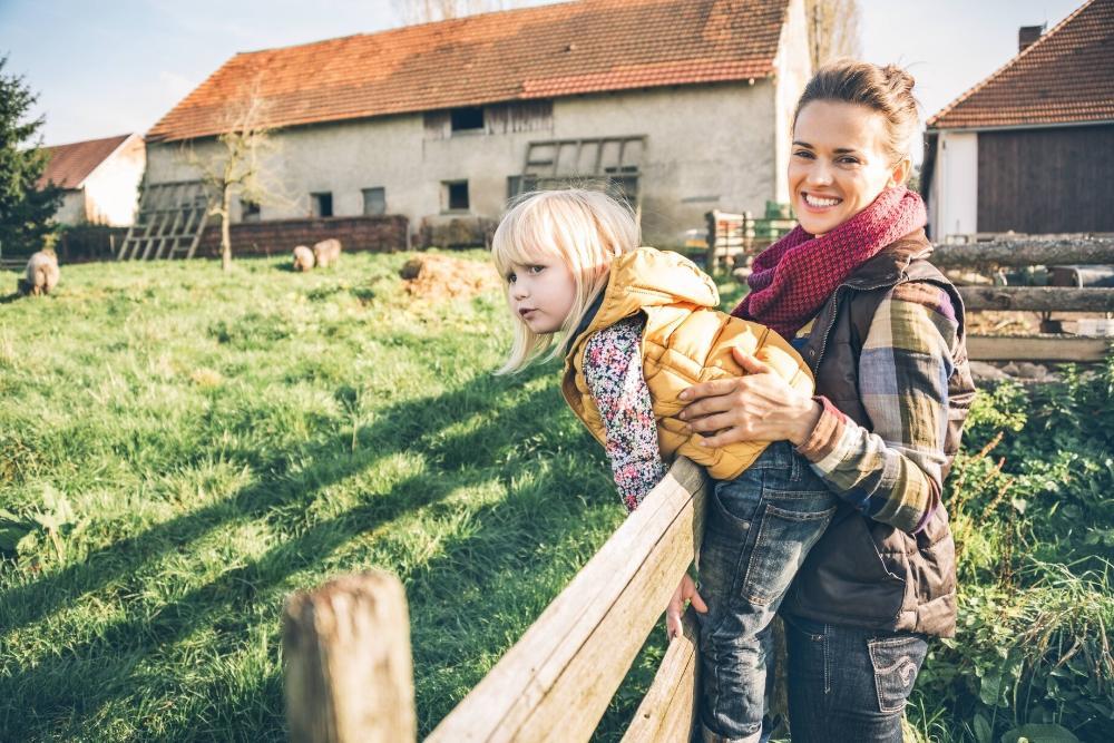 custody visitation order schaumburg